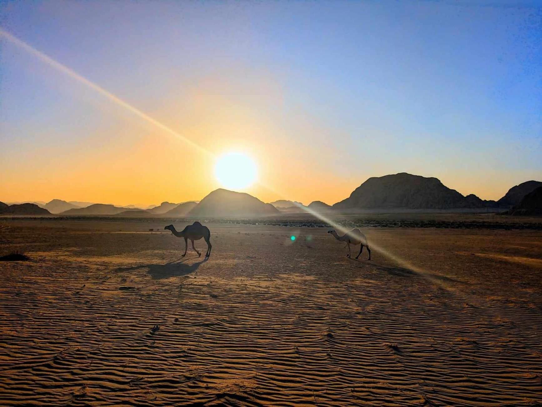 Shahrazad Desert, Вади-Рам Экстерьер фото